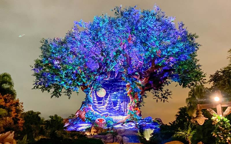 Animal Kingdom - Tree of Life - Christmas - DVC Rentals