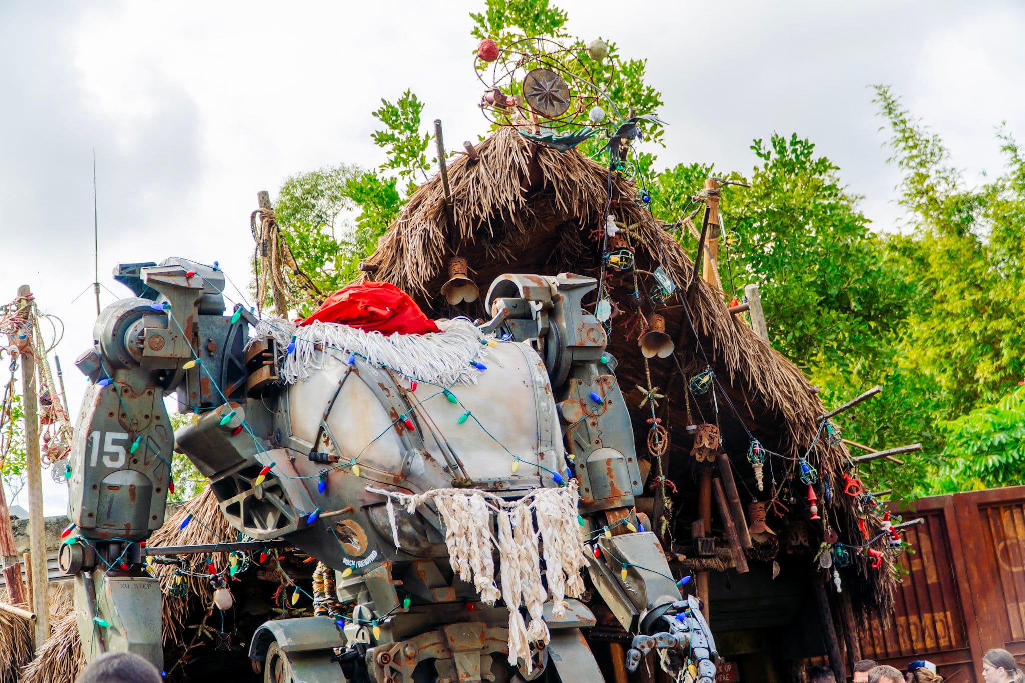 Animal Kingdom - Pandora - Christmas Lights - DVC Rental